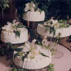 wedding 1.jpg (3944 bytes)